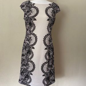 Maggy London white and black dress plus size